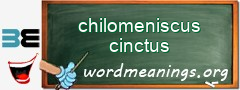 WordMeaning blackboard for chilomeniscus cinctus